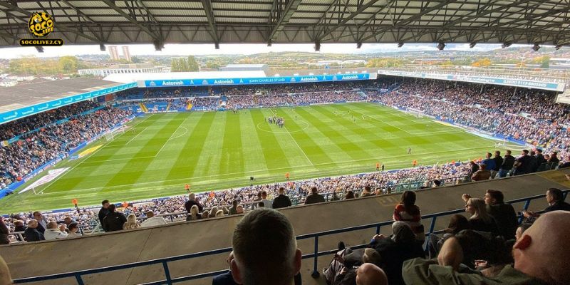 Nhận định Leeds United vs Manchester City 00h30 01/03: Man Xanh hành quân đến chảo lửa Elland Road