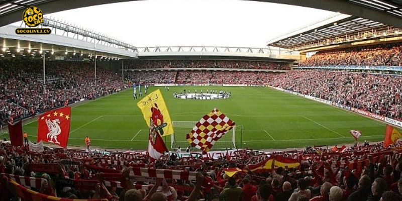 Nhận định Liverpool vs Tottenham Hotspur 23h30 15/03: Đại chiến tấn công rực lửa tại chảo lửa Anfield